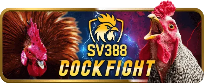 Liên hệ tổng đài 6789bet
